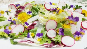 Gyönyörű virágsaláta