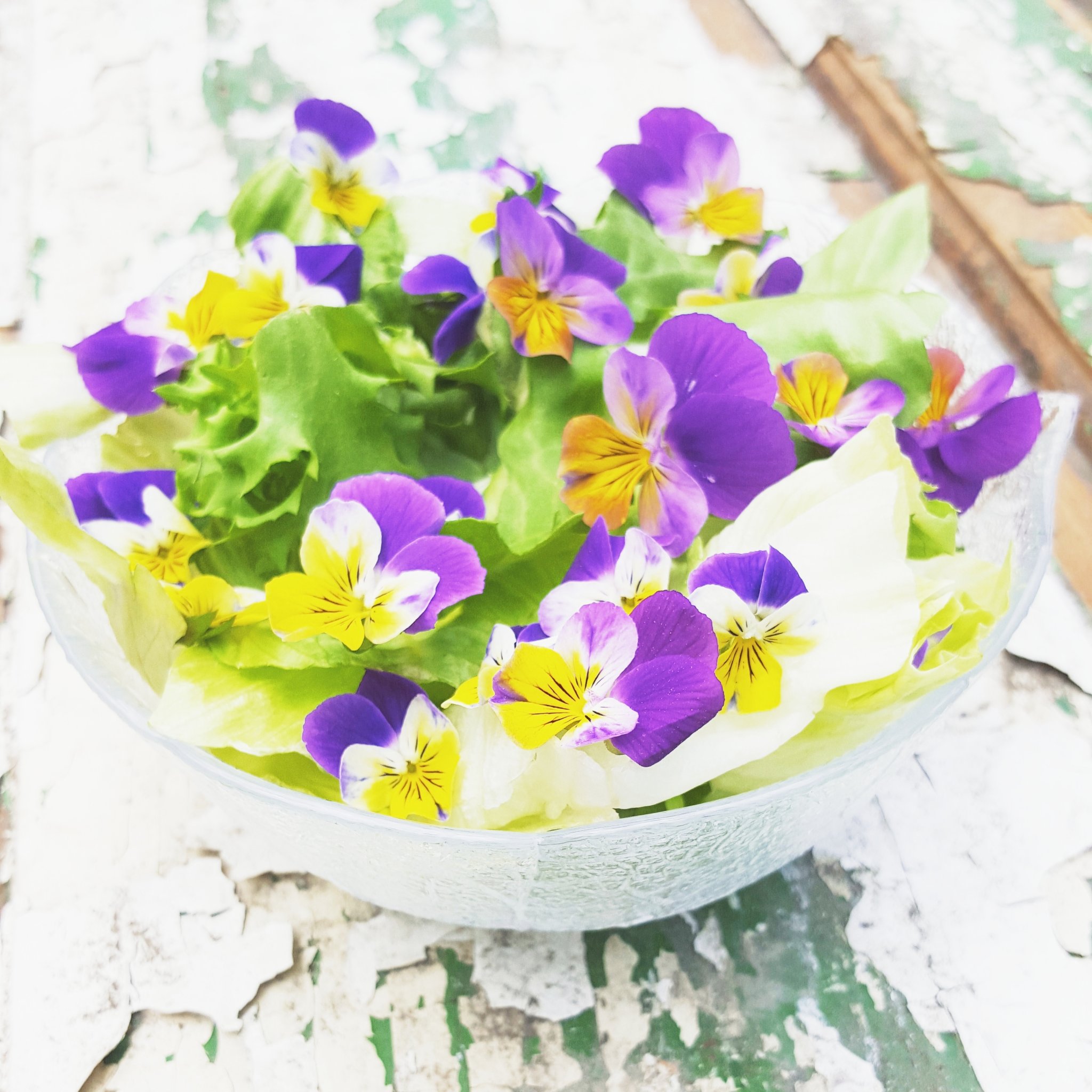 szép tavaszi saláta